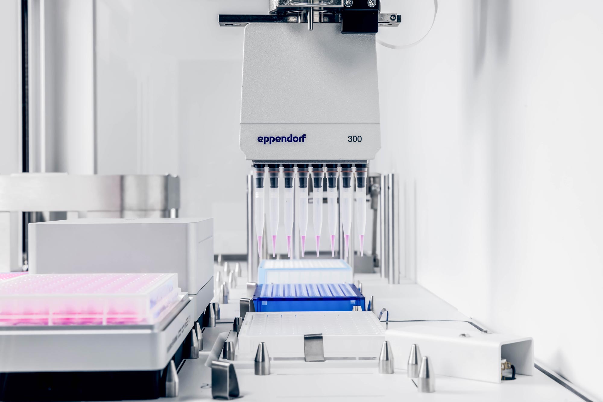  – Enhancing Lab Automation: Validating Absorbance 96 Automate Integration with Eppendorf epMotion® for Automated Cell-Based Assays