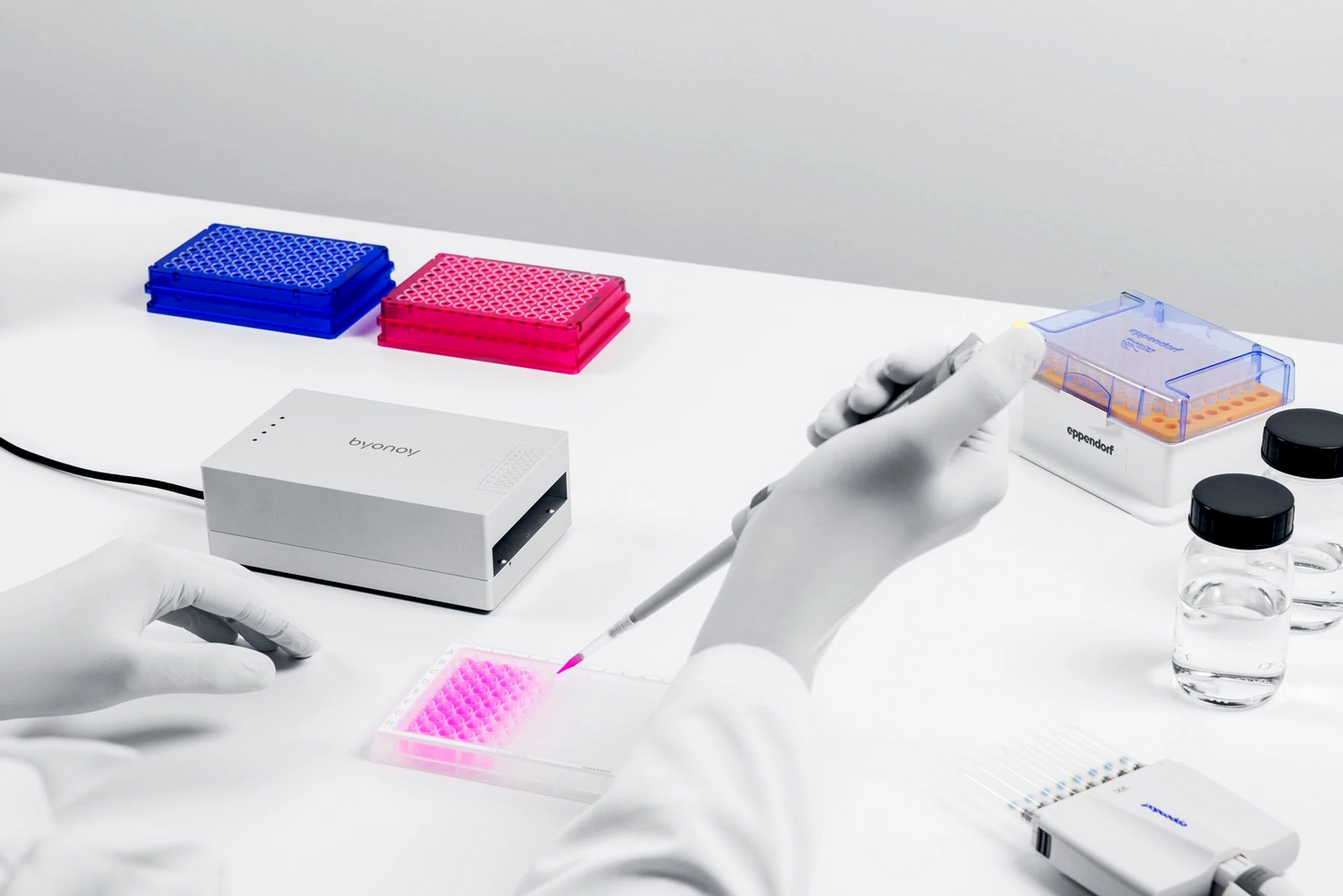 From COVID-19 to Canine Research: Simplifying Microplate Reading