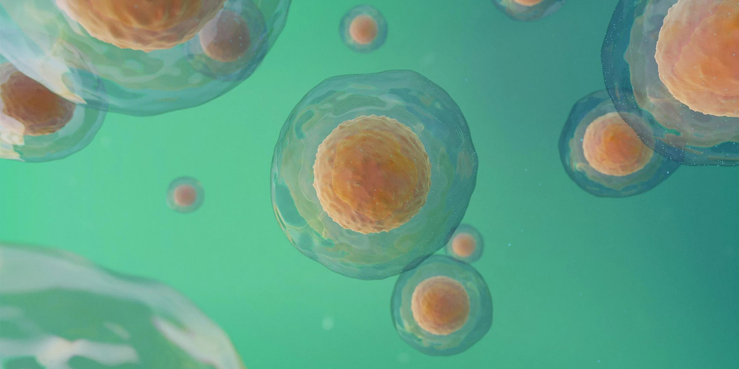Validating Absorbance 96 Application for XTT Assay Using the instaCELL® Cytotoxicity Kit (XTT)