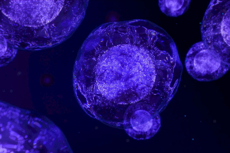 Cell viability assays