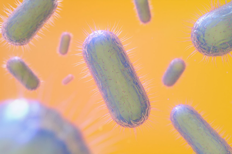 Bacterial growth assays