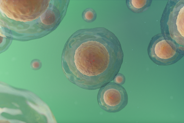 Cell viability & cytotoxicity assays