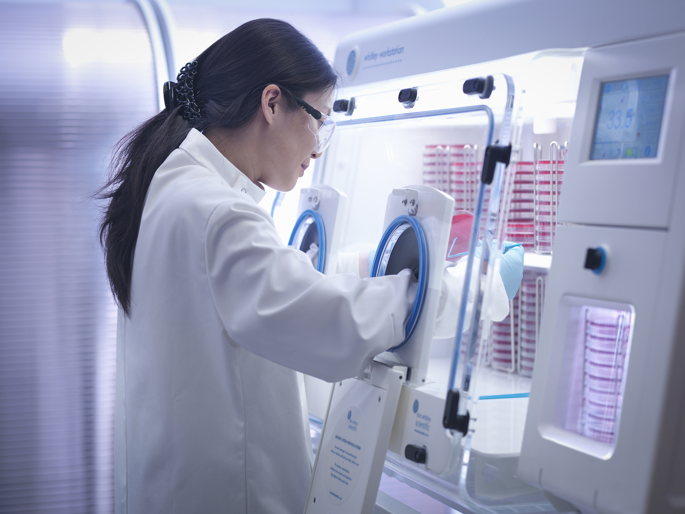 Effortless OD600 measurements in anaerobic conditions